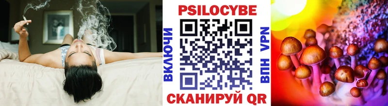 магазин  наркотиков  Каргат  Псилоцибиновые грибы Cubensis 